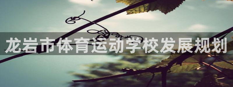 凯发官方正版app新能源：龙岩市体育运动学校发展规划