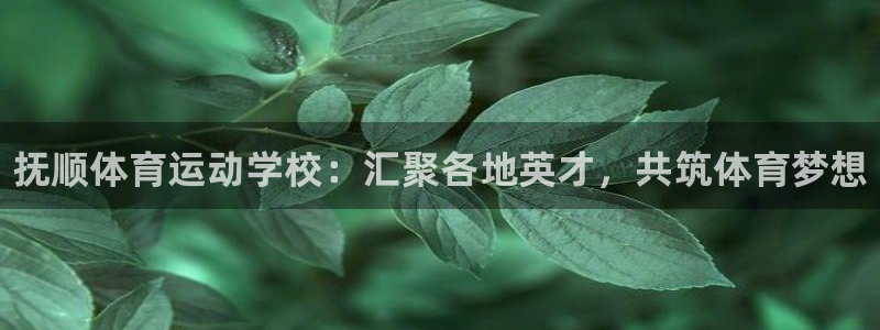 凯发官方集团官网