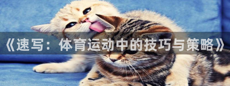 凯发官方集团官网