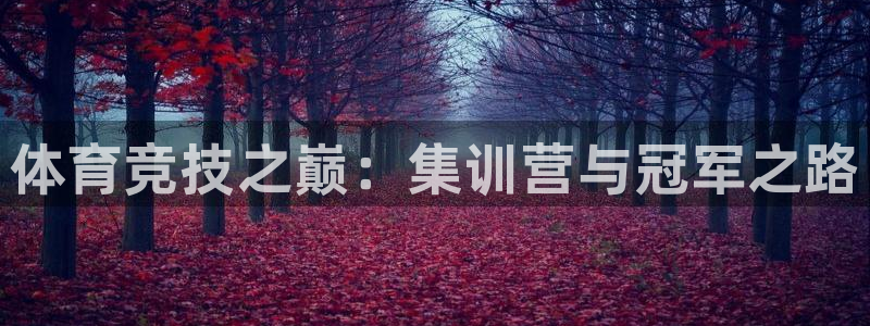 凯发官网下载招商电话号码是多少啊：体育竞技之巅：集训营与冠军