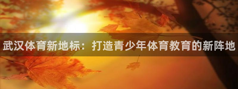 凯发官网下载招商电话地址是多少：武汉体育新地标：打造