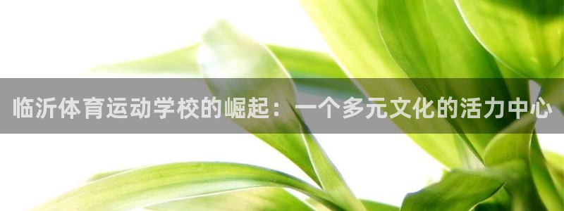 凯发官网下载招商电话号码是多少：临沂体育运动学校的崛起：一个