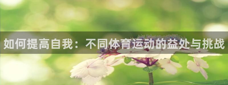 凯发官方正版app官网：如何提高自我：不同体育运动的