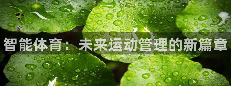 凯发官方正版app娱乐：智能体育：未来运动管理的新篇章