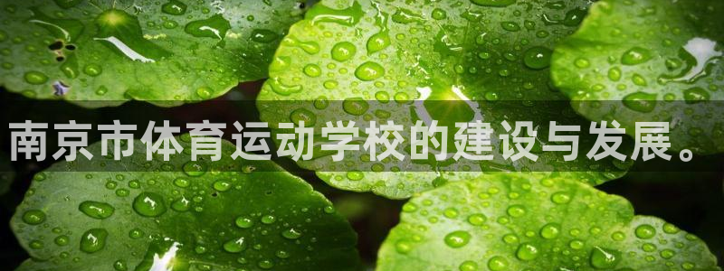 凯发官网下载官方客服电话：南京市体育运动学校的建设与