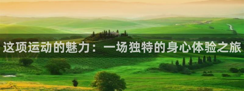 凯发官网下载平台是正规平台吗安全吗：这项运动的魅力：