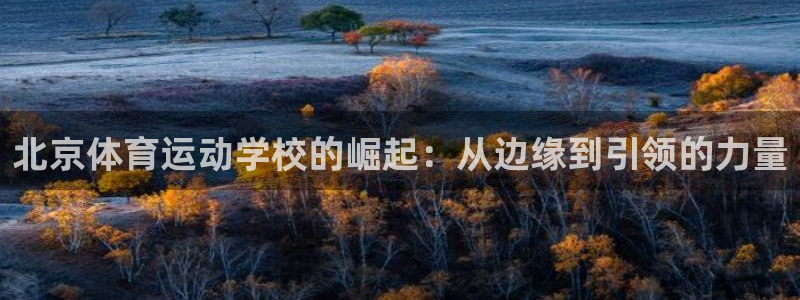 凯发官方正版app集团logo：北京体育运动学校的崛起：从边