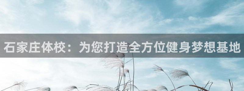 凯发官方正版app科技：石家庄体校：为您打造全方位健身梦想基