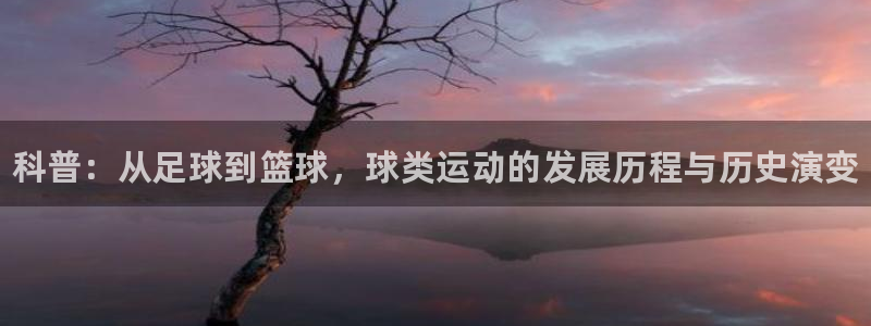 凯发官网下载平台：科普：从足球到篮球，球类运动的发展