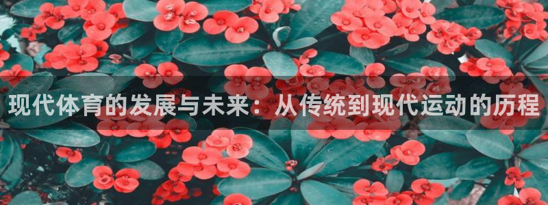 凯发官方正版app集团：现代体育的发展与未来：从传统