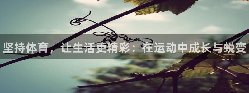 凯发官方正版app神州：坚持体育，让生活更精彩：在运