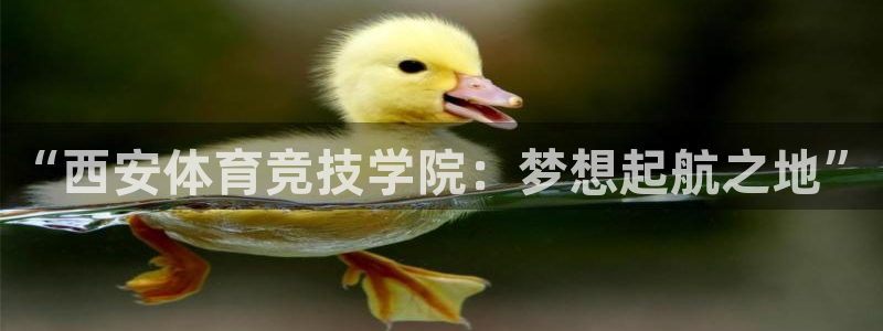 凯发官网下载平台注册流程图:“西安体育竞技学院:梦想起航之地