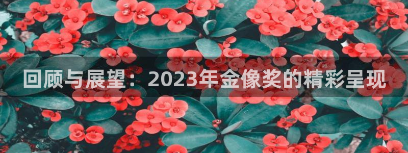咪咕视频体育直播在线观看免费：回顾与展望：2023年金像奖的精彩呈现