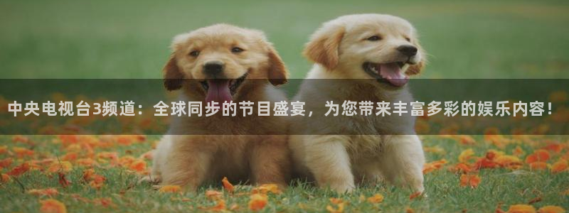 咪咕直播在线直播观看：中央电视台3频道：全球同步的节目盛宴，为您带来丰富多彩的娱乐内容！