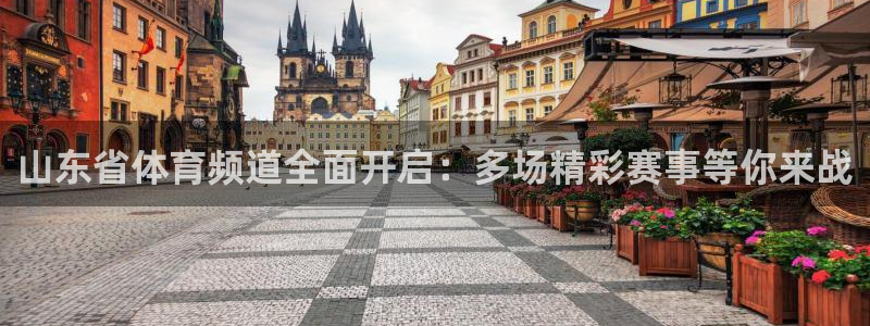 下载咪咕视频：山东省体育频道全面开启：多场精彩赛事等你来战